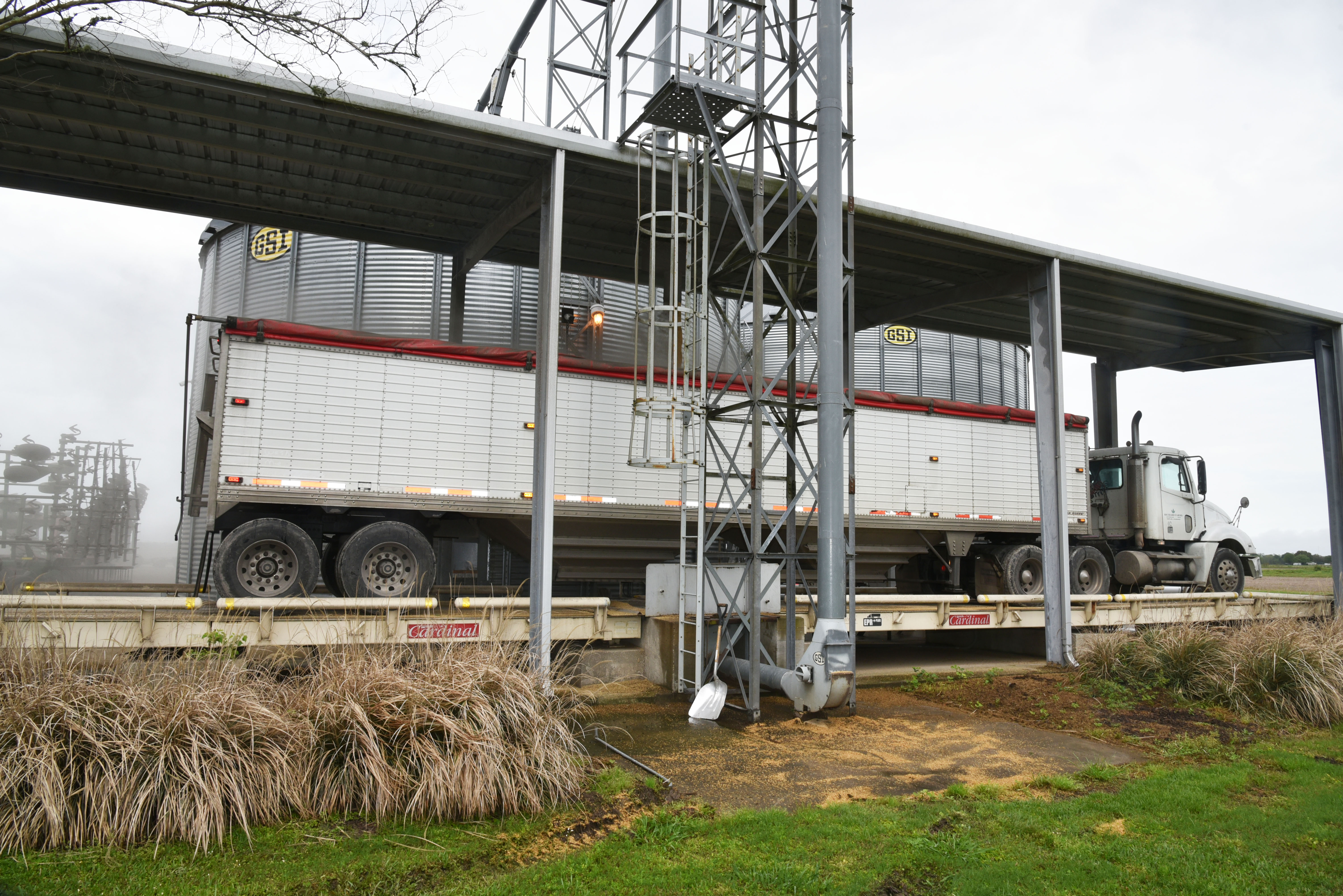 Planting season rolling along despite coronavirus closures   